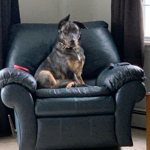 Meet your Posher, Sean